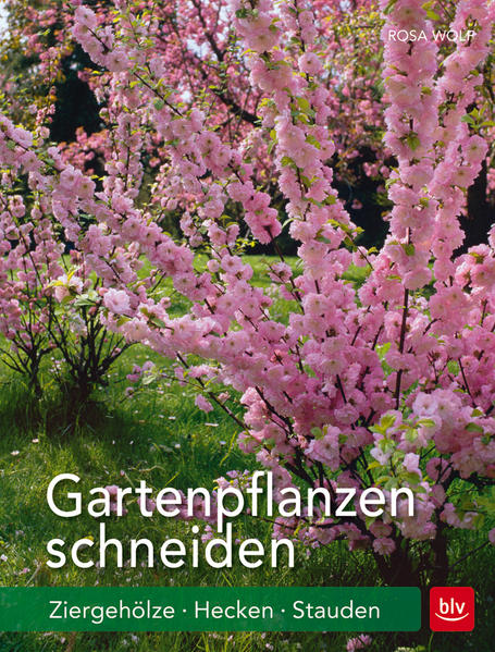 Gartenpflanzen schneiden