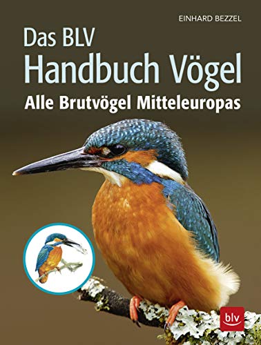 Das BLV Handbuch Vögel
