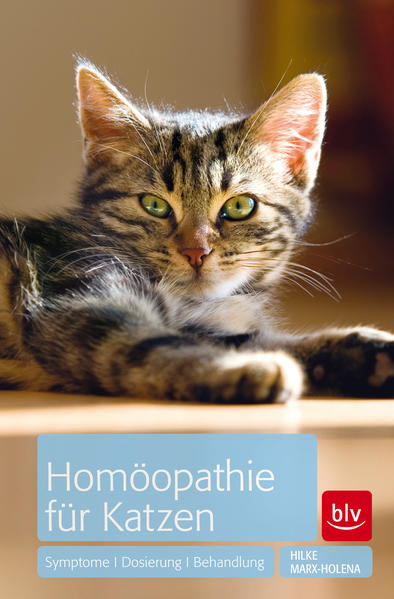 Homöopathie für Katzen