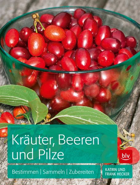 Kräuter, Beeren und Pilze