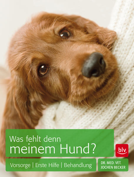 Was fehlt denn meinem Hund?