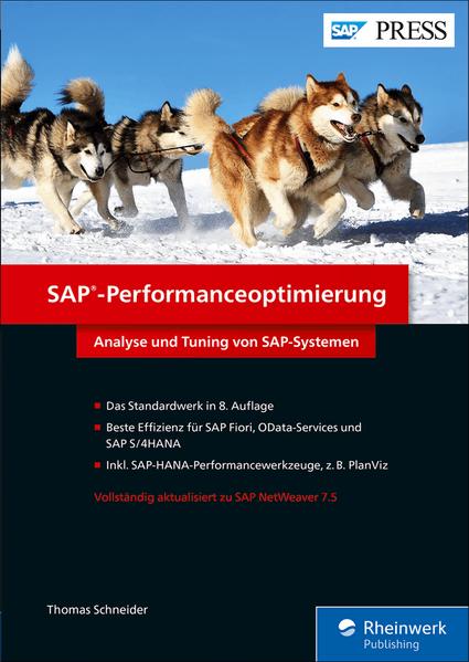 SAP-Performanceoptimierung