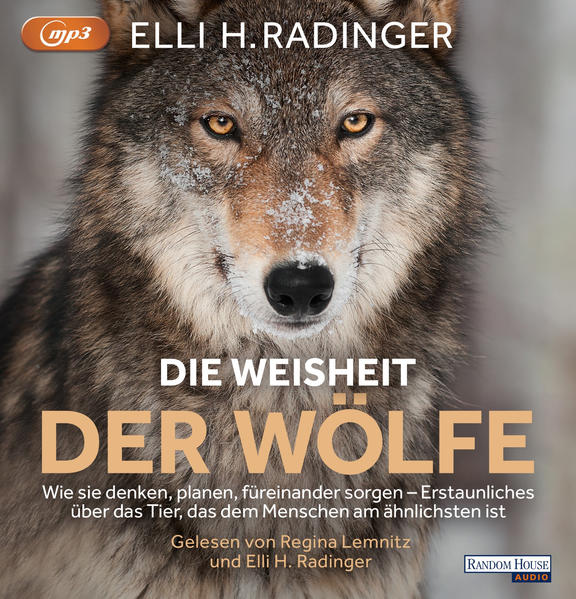 Die Weisheit der Wölfe