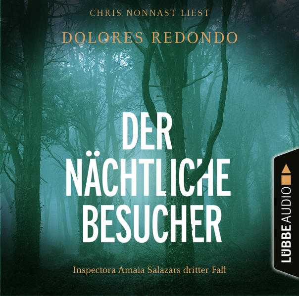 Der nächtliche Besucher