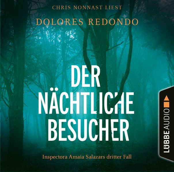 Der nächtliche Besucher