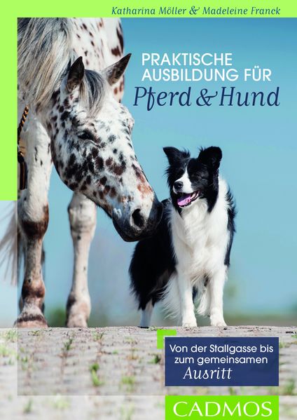 Praktische Ausbildung für Pferd & Hund