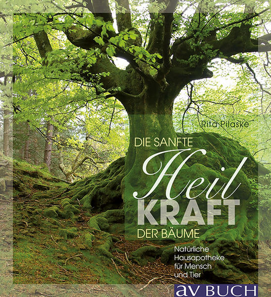 Sanft heilen mit der Kraft der Bäume