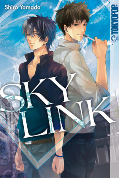 Sky Link
