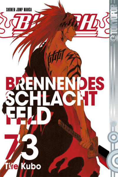 Bleach 73