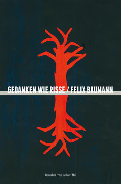 Gedanken wie Risse