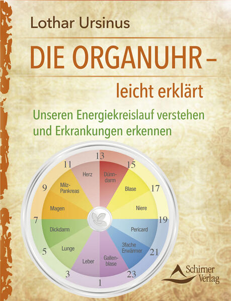 Die Organuhr – leicht erklärt