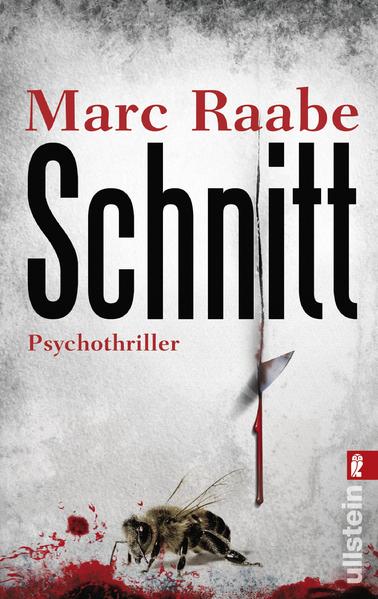 Schnitt