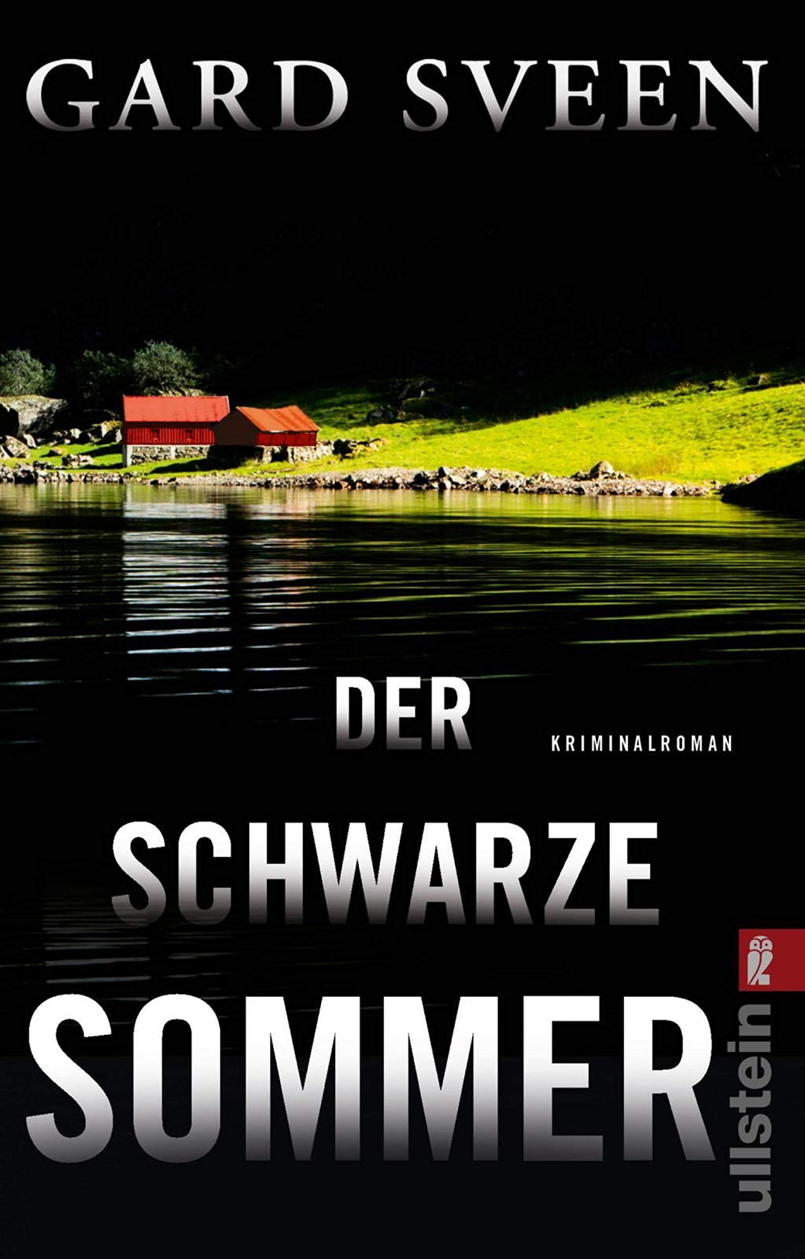 Der schwarze Sommer: Kriminalroman (Ein Fall für Tommy Bergmann 5)