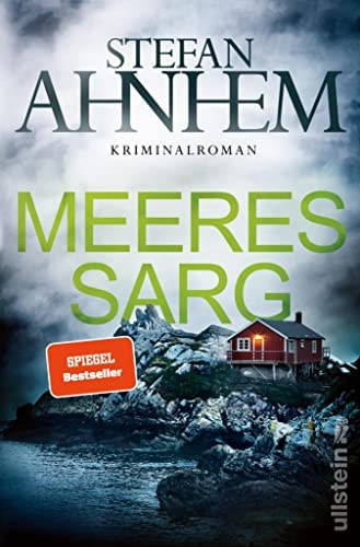 Meeressarg: Kriminalroman (Ein Fabian-Risk-Krimi 6)