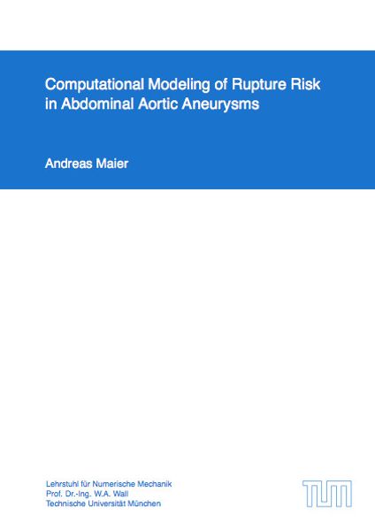 Computational Modeling of Rupture Risk in Abdominal Aortic Aneurysms
