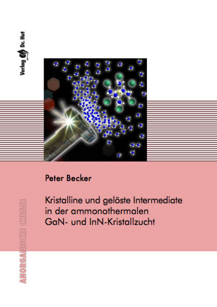 Kristalline und gelöste Intermediate in der ammonothermalen GaN- und InN-Kristallzucht