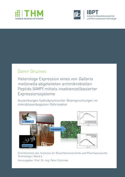 Heterologe Expression eines von Galleria mellonella abgeleiteten antimikrobiellen Peptids (AMP) mittels insektenzellbasierter Expressionssysteme