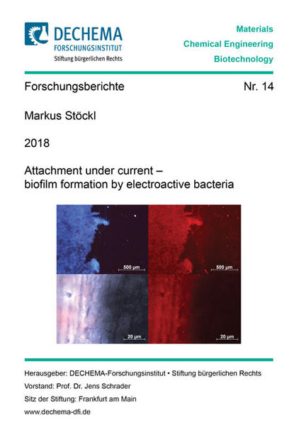 Attachment under current – biofilm formation by electroactive bacteria