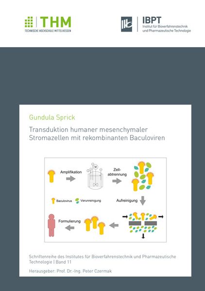 Transduktion humaner mesenchymaler Stromazellen mit rekombinanten Baculoviren