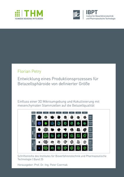 Entwicklung eines Produktionsprozesses für Betazellsphäroide von definierter Größe