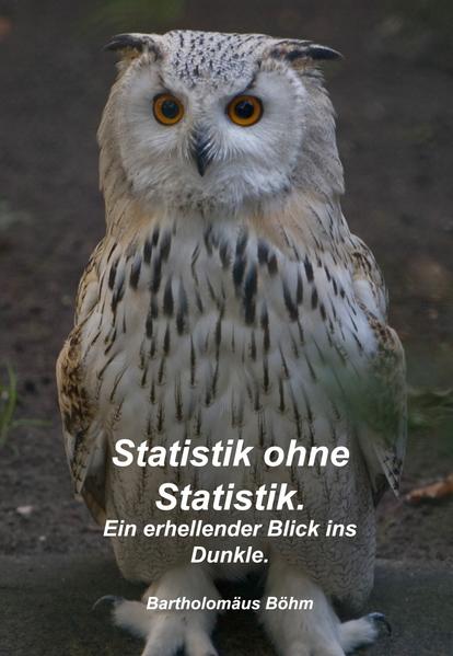 Statistik ohne Statistik. Ein erhellender Blick ins Dunkle.