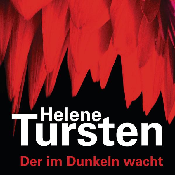 Der im Dunkeln wacht