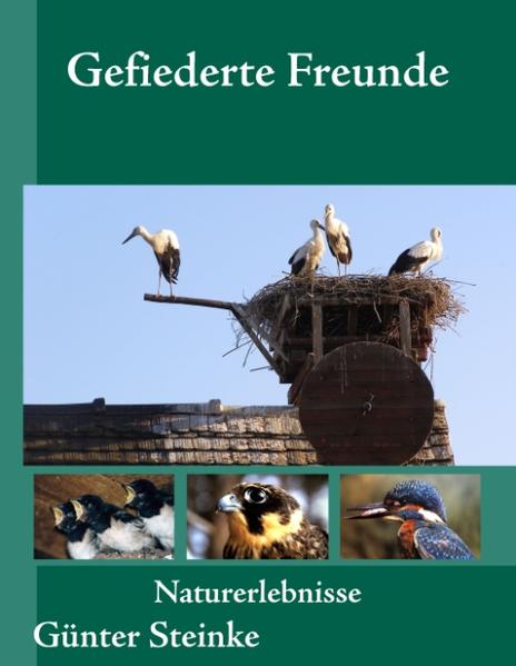 Gefiederte Freunde