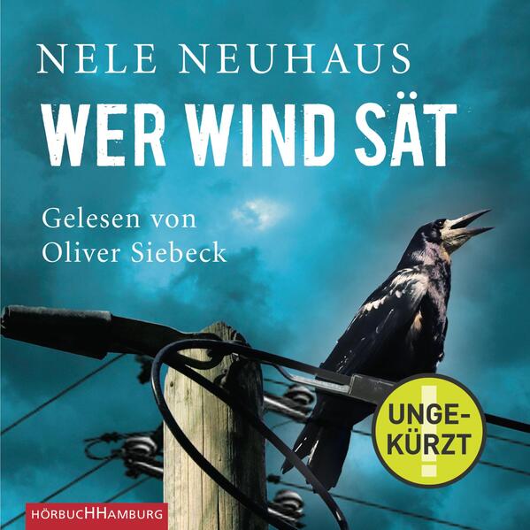 Wer Wind sät (Ein Bodenstein-Kirchhoff-Krimi 5)