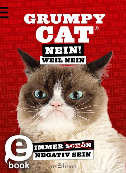 Grumpy Cat Nein! Weil Nein