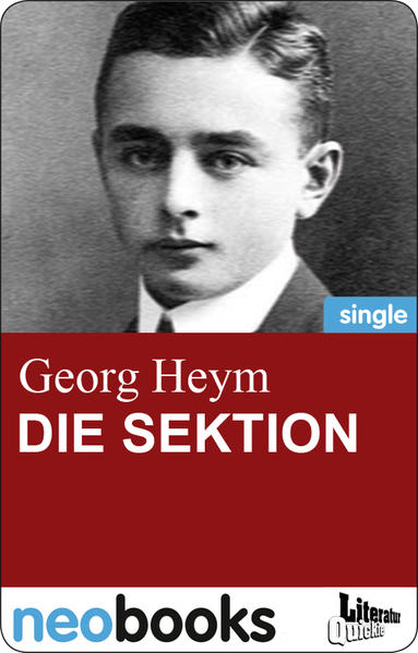 Die Sektion (neobooks Singles)