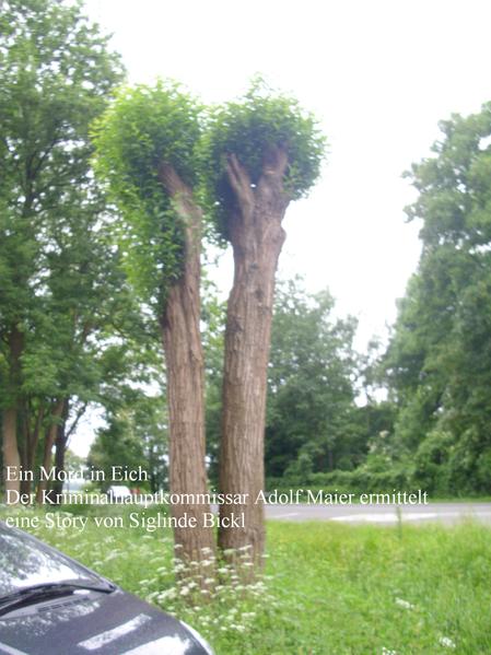Ein Mord in Eich