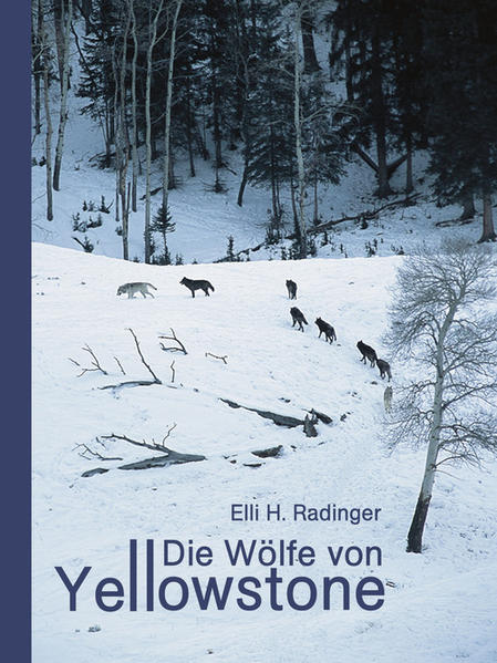 Die Wölfe von Yellowstone