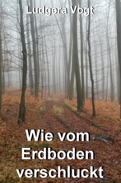 Wie vom Erdboden verschluckt