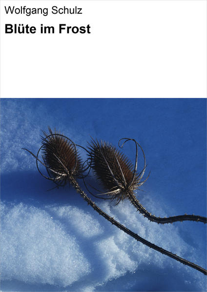 Blüte im Frost