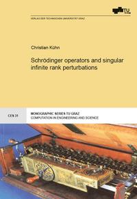 Schrödinger operators and singular infinite rank perturbations