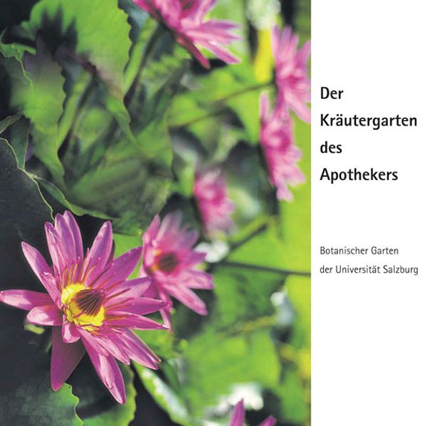 Der Kräutergarten des Apothekers