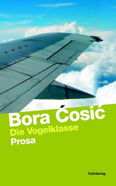 Die Vogelklasse