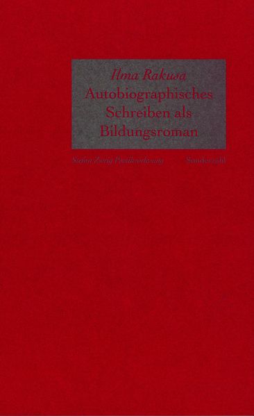 Autobiographisches Schreiben als Bildungsroman