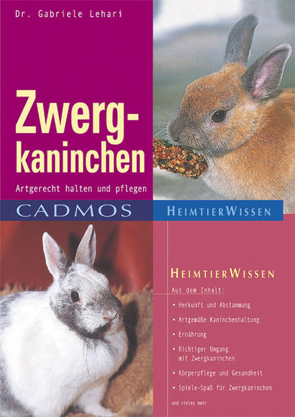 Zwergkaninchen