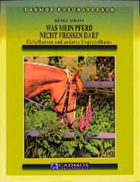 Was mein Pferd nicht fressen darf