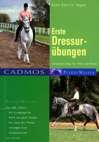 Erste Dressurübungen