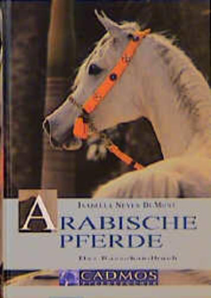 Arabische Pferde