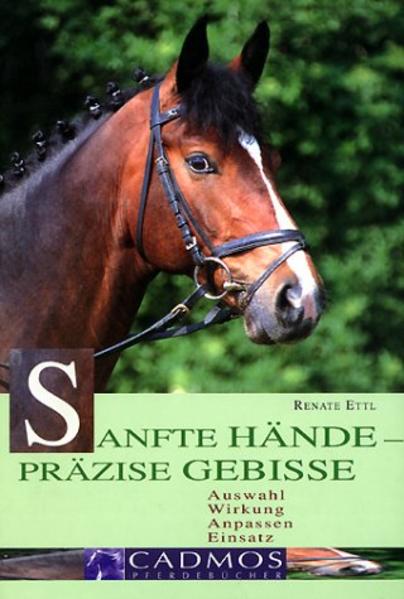 Handhabung von Zäumungen und Gebissen