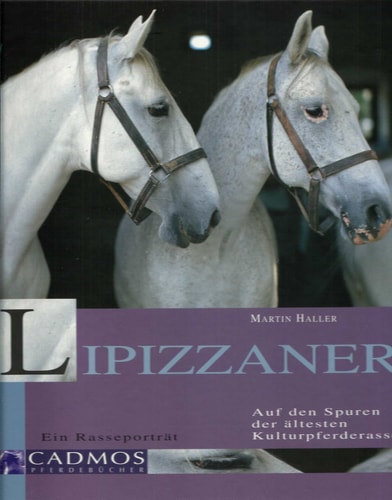 Lipizzaner