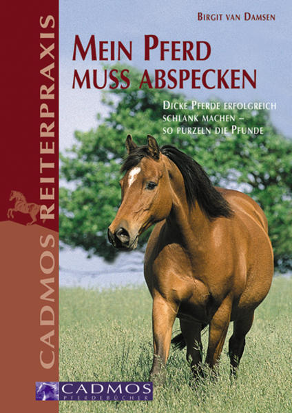 Mein Pferd muss abspecken