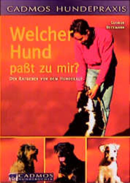 Welcher Hund passt zu mir?