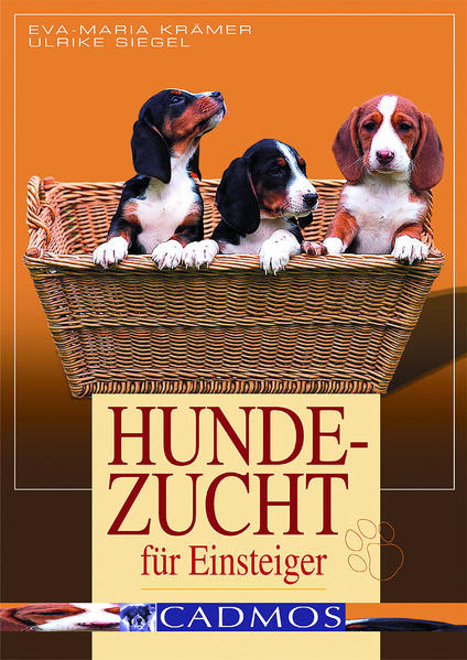 Hundezucht für Einsteiger