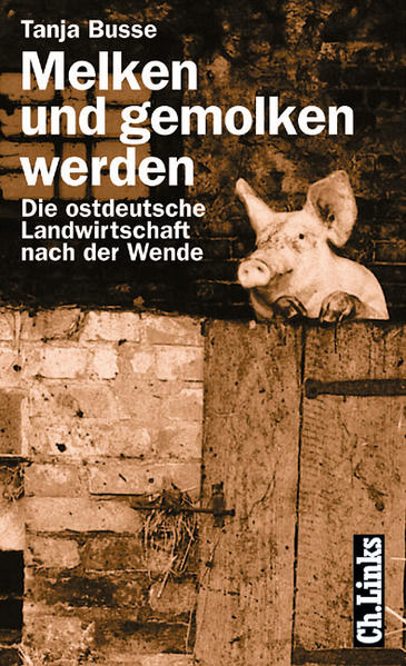 Melken und gemolken werden
