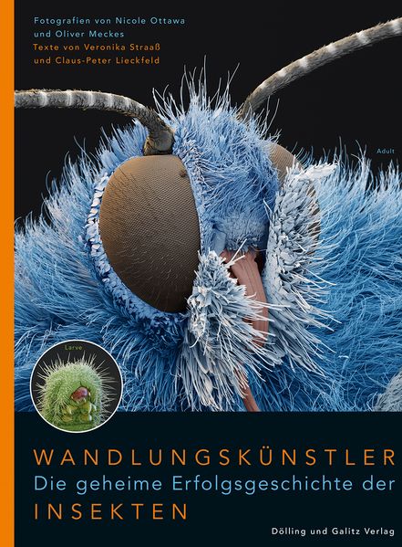 Wandlungskünstler. Die geheime Erfolgsgeschichte der Insekten