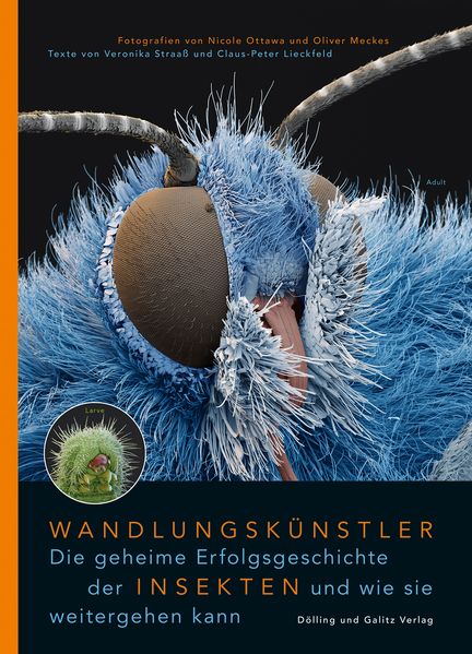 Wandlungskünstler. Die geheime Erfolgsgeschichte der Insekten und wie sie weitergehen kann